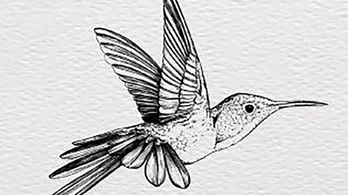 Ilustradores y músicos indies se unen por los animales en extinción en Save The Colors