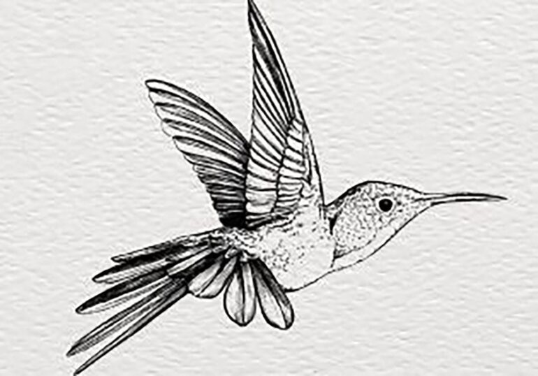 Ilustradores y músicos indies se unen por los animales en extinción en Save The Colors