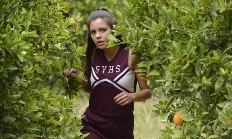 The Cheerleader Murders (2016)