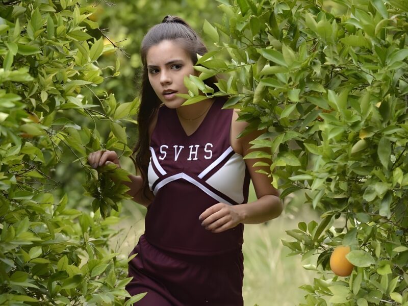 The Cheerleader Murders (2016)