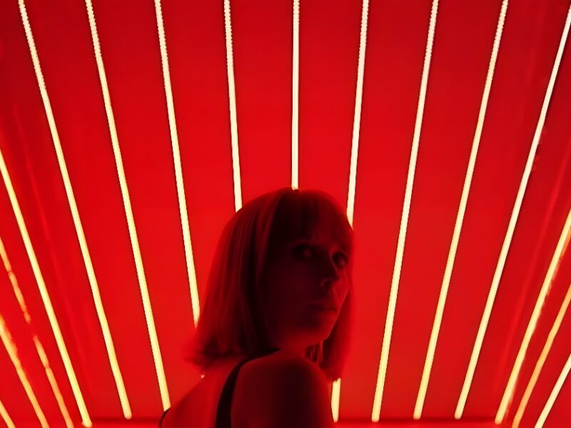 Ana de Día (2018): Sobre el Tema del Doble