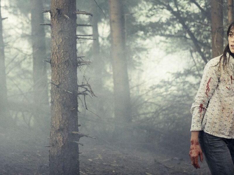 &lsquo;Antichrist&rsquo; (2009). Critique du Film