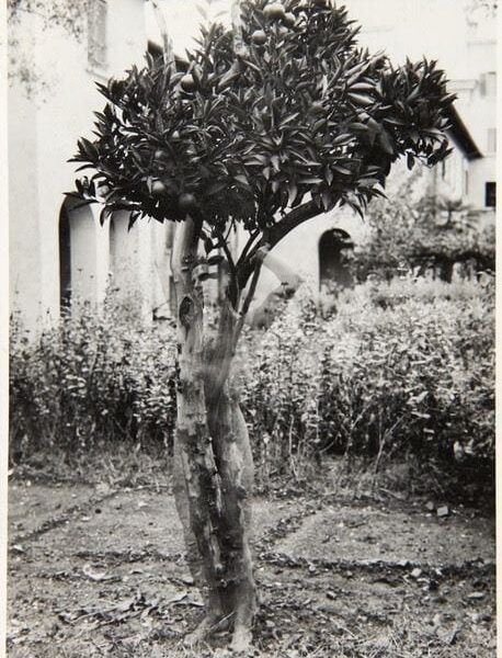 La fotografía de Gregorio Prieto viaja por España