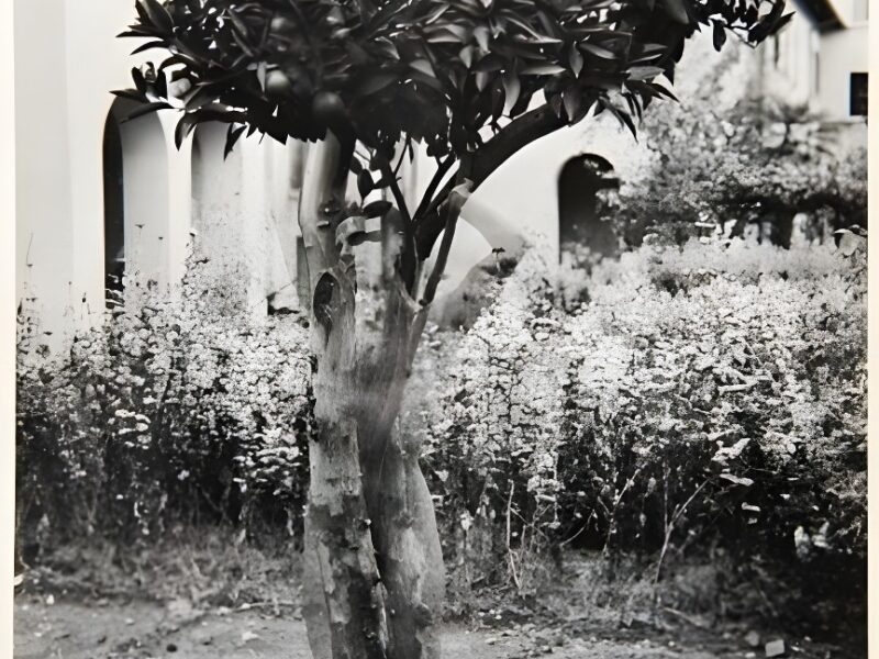 La fotografía de Gregorio Prieto viaja por España
