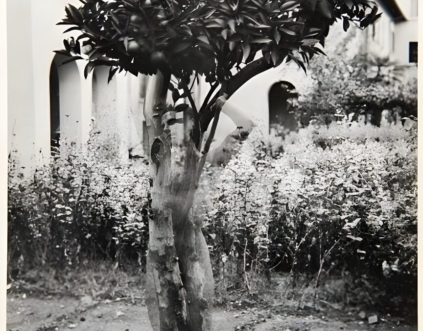 La fotografía de Gregorio Prieto viaja por España