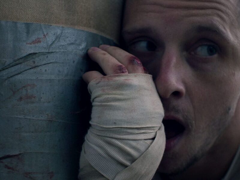 Donnybrook (2018): América a Examen