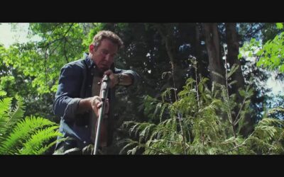 The Intruder (2019): Sustos y más Sustos