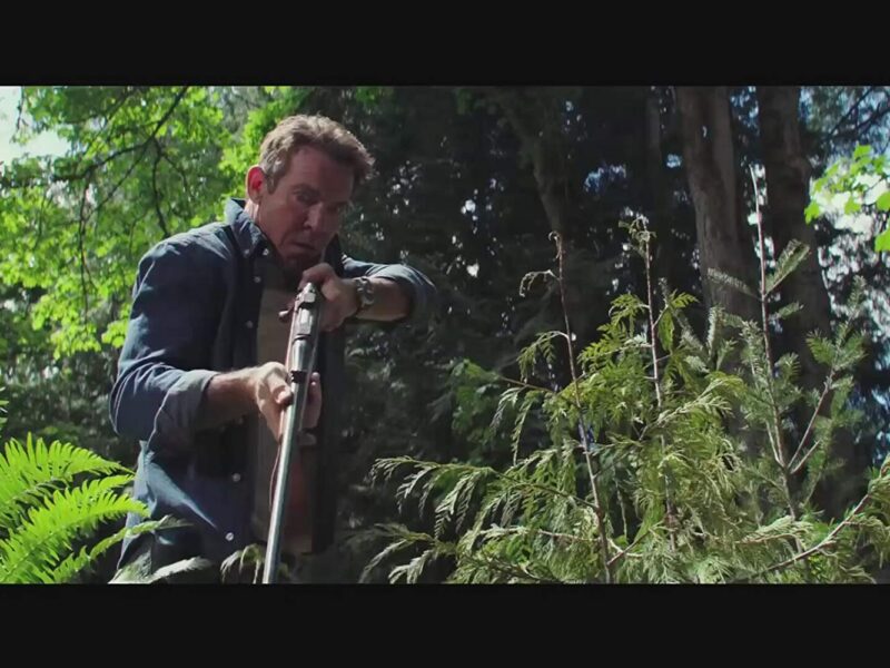 The Intruder (2019): Sustos y más Sustos