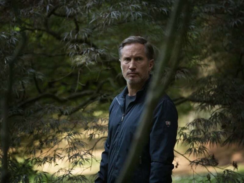 Intrigo: Muerte de un Autor (2018), de Daniel Alfredson