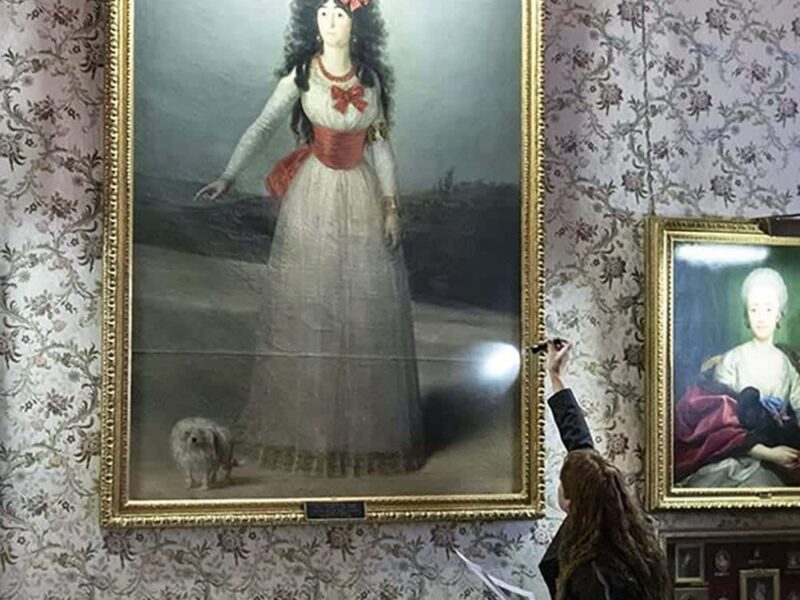 Ya está en Liria el cuadro de Goya de la XIII Duquesa de Alba