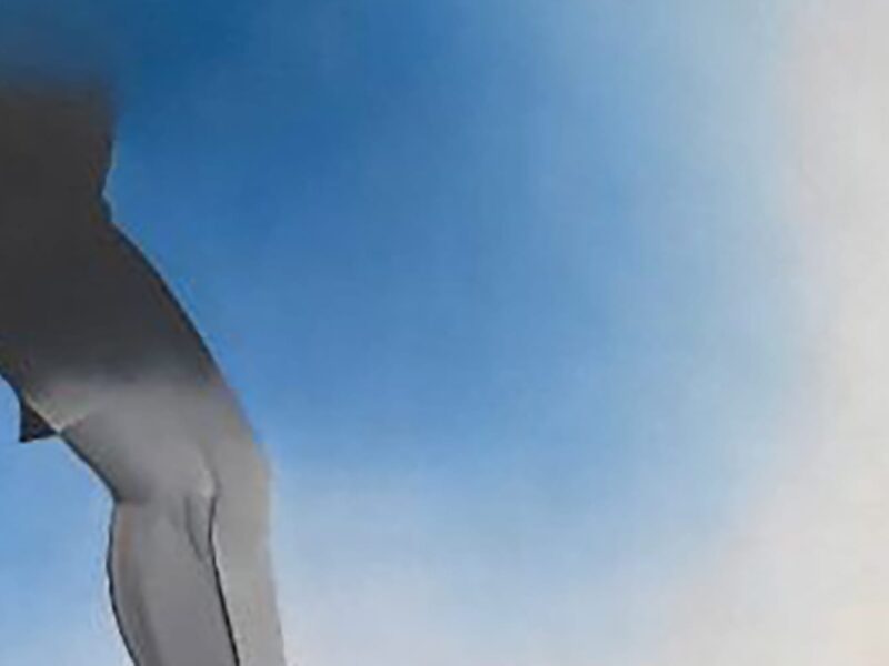 Hazlitt Holland-Hibbert at Frieze Masters 2019