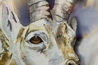 Gran éxito de la Exposición colectiva de la Asociación de Pintores de Sigüenza