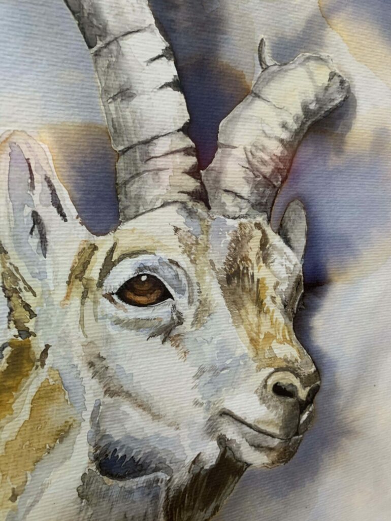 Gran éxito de la Exposición colectiva de la Asociación de Pintores de Sigüenza