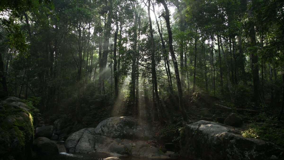 Prey (2019): Supervivencia con Chica Guapa y Monstruo