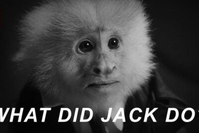 What Did Jack Do? Mono, Lych y Netflix