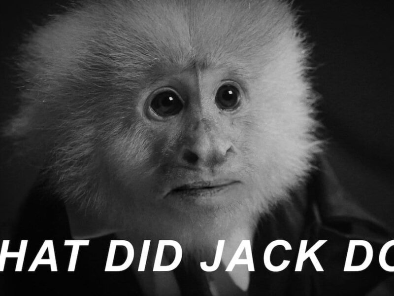 What Did Jack Do? Mono, Lych y Netflix