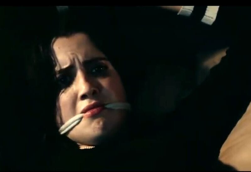 Saving Zoe (2019), de Jeffrey G. Hunt. Crítica