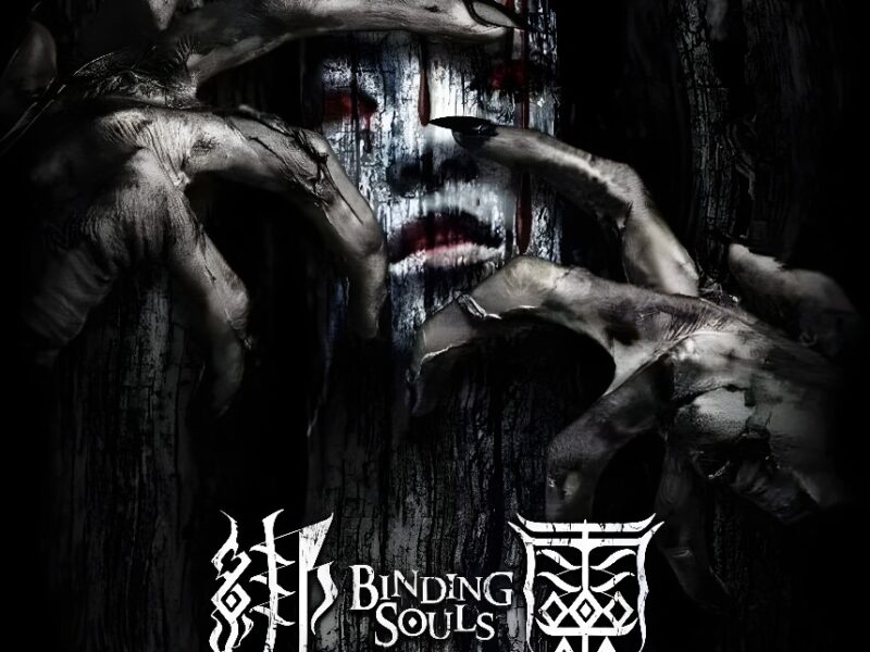 Binding Souls (2018), de Chan Pang-Chun. Crítica