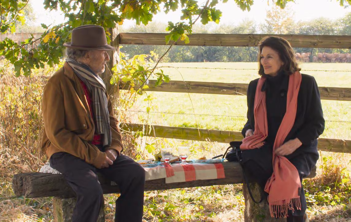 Los Años Más Bellos de una Vida (2019)