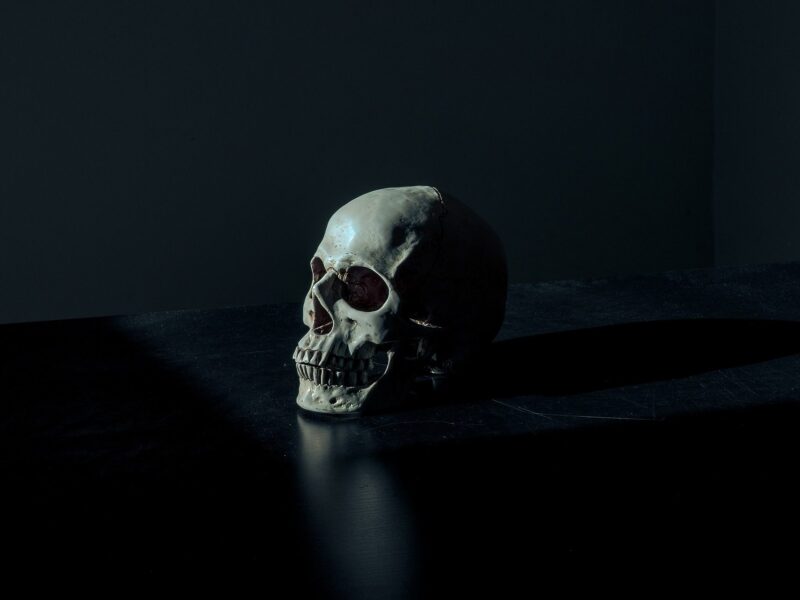 Peste Negra, Edad Media y Significado