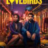 The Lovebirds (2020)