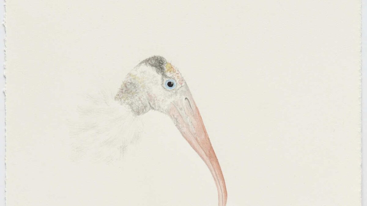 Explore Dallas’ Secluded Nature through the Work of Cynthia Mulcahy