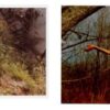 Ana Mendieta and Carolee Schneemann Selected Works 1966 – 1983