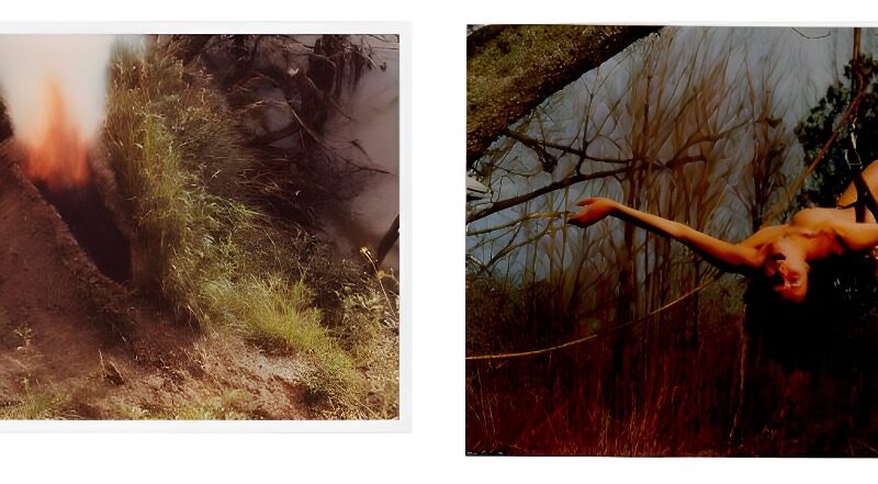 Ana Mendieta and Carolee Schneemann Selected Works 1966 – 1983