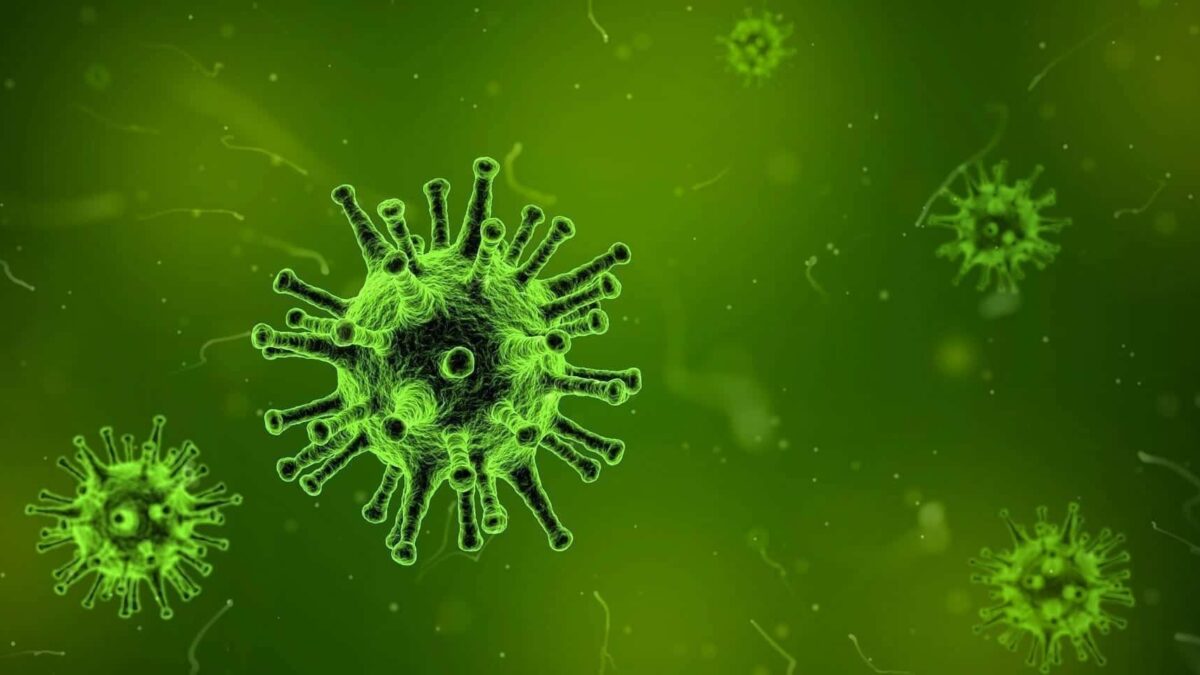 La Vacuna del Coronavirus se Prueba ya en Humanos