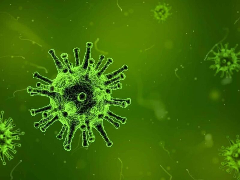 La Vacuna del Coronavirus se Prueba ya en Humanos