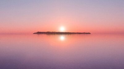Vallisaari Island skyline, courtesy Helsinki Biennial