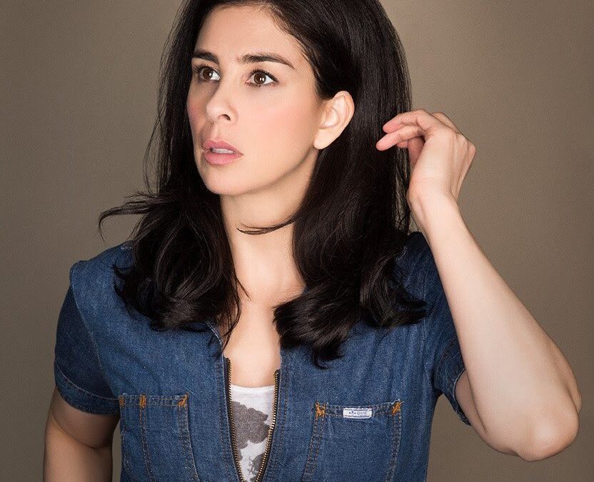 HBO Max Greenlights Animated Series SANTA INC. Starring Sarah Silverman and Seth Rogen from Lionsgate