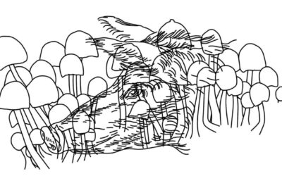 Oliver Laric | Metro Pictures Online Film Festival