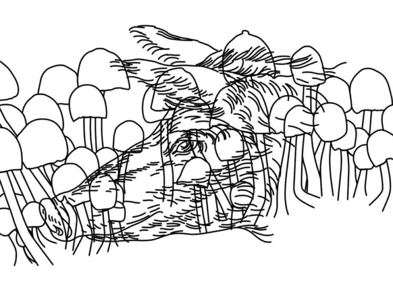 Oliver Laric | Metro Pictures Online Film Festival