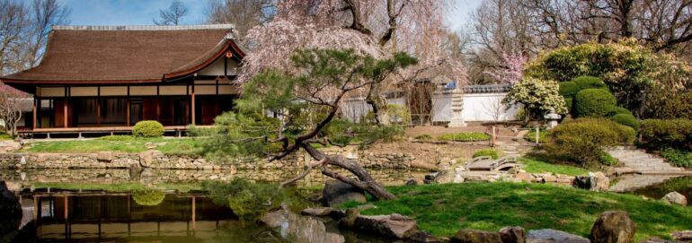 Shofuso and Modernism: Mid-Century Collaboration