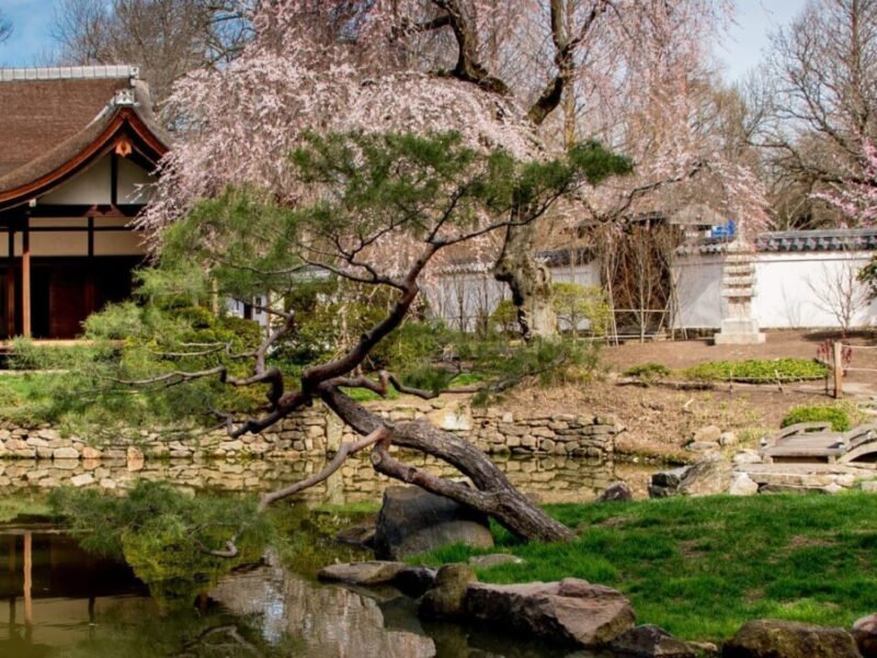 Shofuso and Modernism: Mid-Century Collaboration