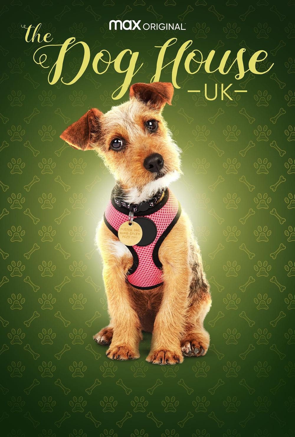 HBO Max Debuts THE DOG HOUSE: UK Trailer