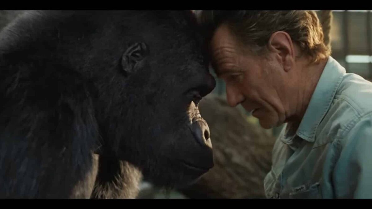 El Magnífico Iván (2020). Película Animales Infantil. Crítica, Reseña