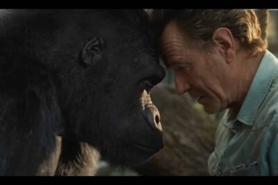 El Magnífico Iván (2020). Película Animales Infantil. Crítica, Reseña