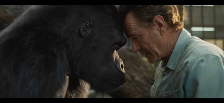 El Magnífico Iván (2020). Película Animales Infantil. Crítica, Reseña