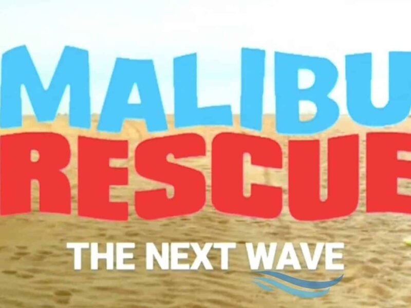 Los Vigilantes de Malibú: la Nueva Ola (2020). Comedia Netflix. Crítica