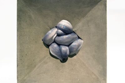 Polly Morgan, How to Behave at Home  | The Bomb Factory, London | 14 Oct – 2 Nov 2020