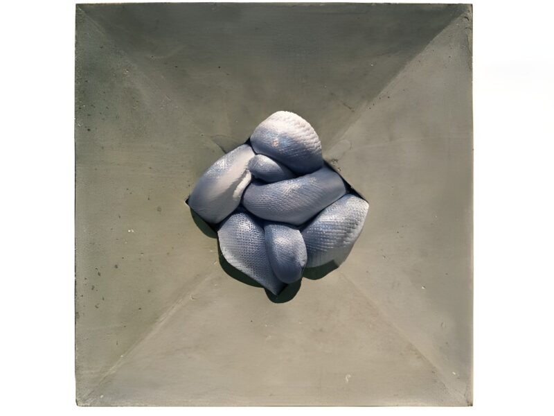 Polly Morgan, How to Behave at Home  | The Bomb Factory, London | 14 Oct – 2 Nov 2020