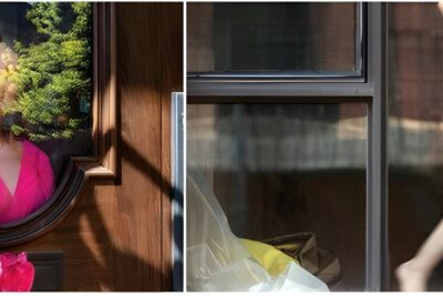 Portraits Through Windows | Before and After Covid | Robert Klein Gallery Viewing Room