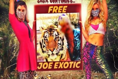 Barbie & Kendra Save the Tiger King (2020). Película Comedia. Crítica, Reseña