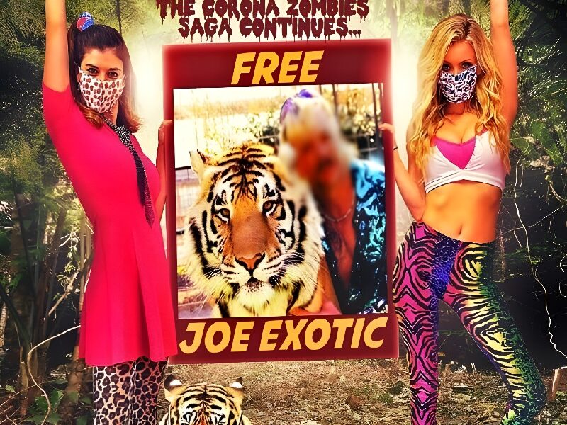 Barbie & Kendra Save the Tiger King (2020). Película Comedia. Crítica, Reseña