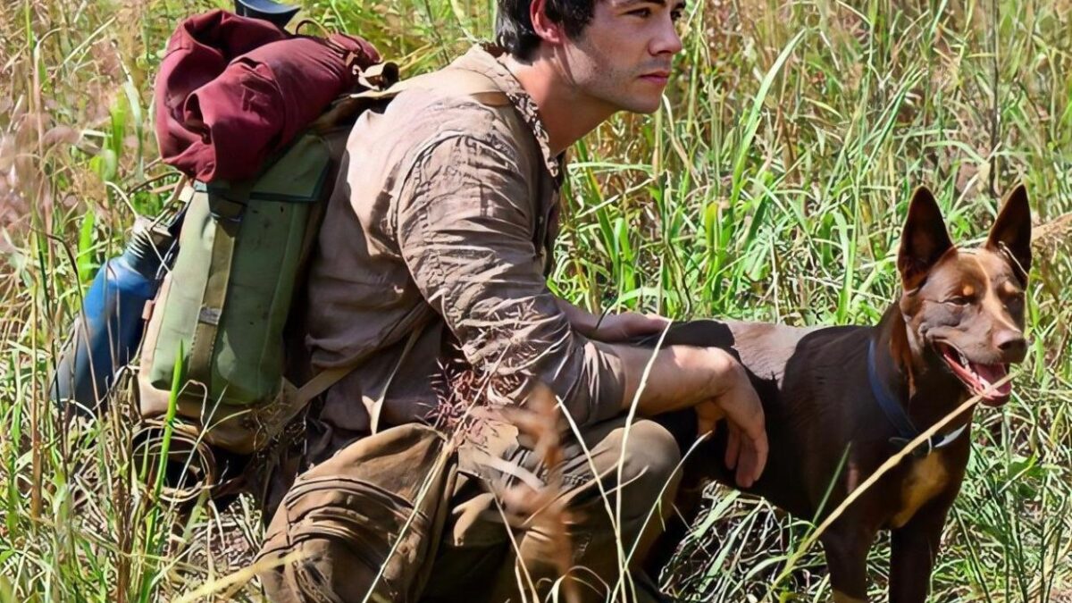 Love and Monsters (2020). Película Comedia Acción. Trailer