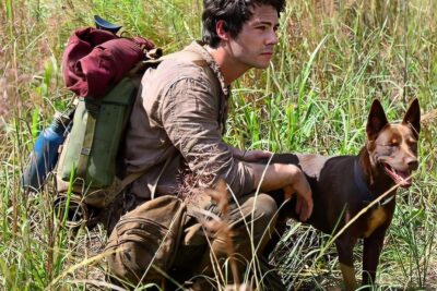 Love and Monsters (2020). Película Comedia Acción. Trailer