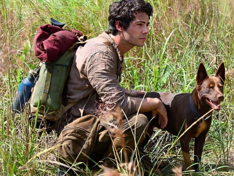 Love and Monsters (2020). Película Comedia Acción. Trailer