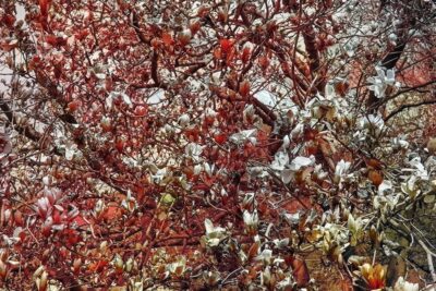 Pace Gallery. Opening Soon: Trevor Paglen in London